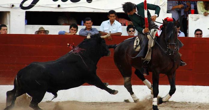 Ventura, en un lance del festejo de Motul.