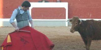El joven sevillano Jesús Álvarez, en la final de Ciudad Rodrigo.