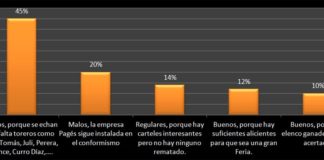 Resultado de la encuesta de la cadena Cope sobre 'Valoración de los carteles de Sevilla 2012'. (CLICK PARA AMPLIAR)