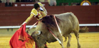 Daniel Luque toreando al sexto hoy en Castellón. (FOTO: Fernando Juárez/mundotoro.com)