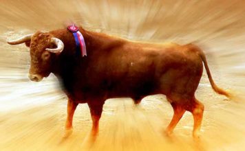 El toro en la Feria de Abril, una gran incógnita.