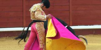 Excelente lance a la verónica de Morante de la Puebla a su primero. (FOTO: Gallardo/badajoztaurina.com)