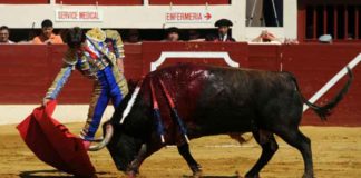 Antonio Barrera, en un derechazo a su primer toro en la reciente Feria de Vic-Fezensac. (FOTO: mundotoro.com)