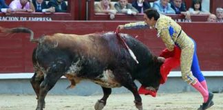 Estocada de El Cid a su segundo astado hoy en Madrid. (FOTO: las-ventas.com)