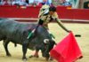 Un natural de El Cid esta tarde en Valencia a su primero toro. (FOTO: Alberto de Jesús/mundotoro.com)