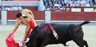 El Cid, con el cuarto de Alcurrucén. (FOTO: las-ventas.com)