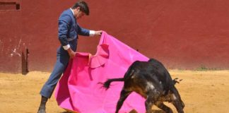 Lama de Góngora, con el capote en la final en la finca de Gerardo Ortega.