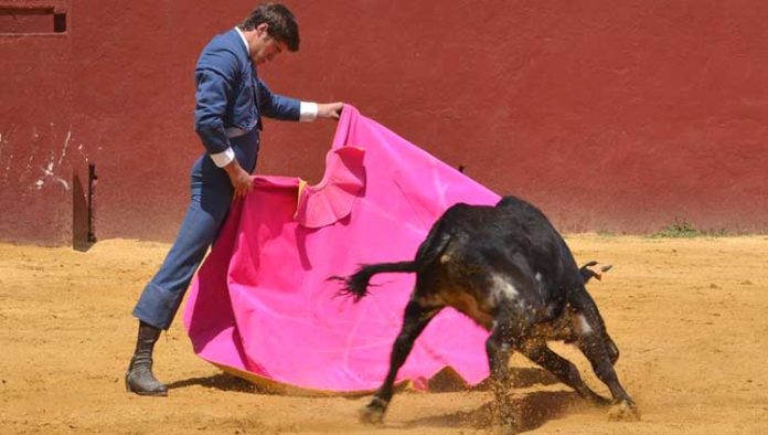 Lama de Góngora, con el capote en la final en la finca de Gerardo Ortega.