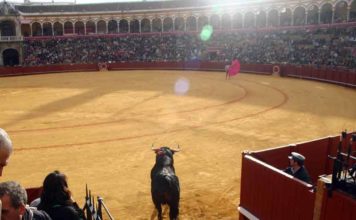 FOTO: Javier Martínez.