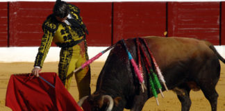 Un derechazo de Morante en Osuna en la Feria de 2010; en 2011 no se le anunció. (FOTO: Eduardo Porcuna)
