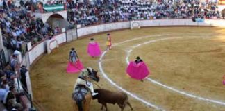 Plaza de toros de Cantillana. (FOTO: Javier Martínez)