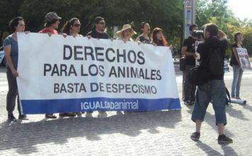 Un reducido grupo de antitaurinos se manifiestan el pasado Corpus en la misma acera de la Maestranza. (FOTO: Javier Martínez)