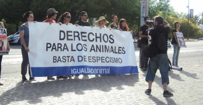 Un reducido grupo de antitaurinos se manifiestan el pasado Corpus en la misma acera de la Maestranza. (FOTO: Javier Martínez)