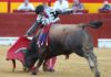 Morante en la faena al cuarto. (FOTO: Antonio Vigueras/mundotoro.com)