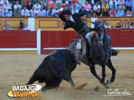 Diego Ventura en su actuación en Badajoz esta tarde. (FOTO: Gallardo/badajoztaurina.com)