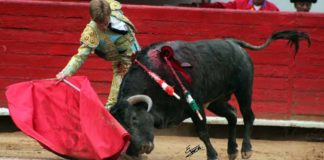 Borja Jiménez en un derechazo el pasado fin de semana en la Plaza Monumental México. (FOTO: suertematador.com)