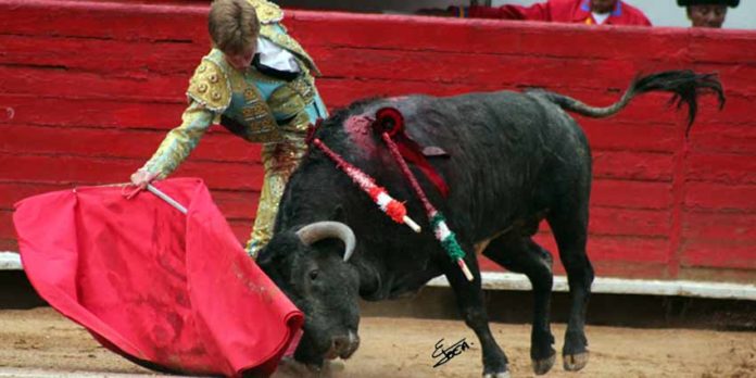 Borja Jiménez en un derechazo el pasado fin de semana en la Plaza Monumental México. (FOTO: suertematador.com)