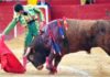 Morante de la Puebla hoy en Valencia. (FOTO: Alberto de Jesús/mundotoro.com)