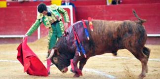 Morante de la Puebla hoy en Valencia. (FOTO: Alberto de Jesús/mundotoro.com)