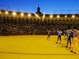 Paseíllo de novillada nocturna sin picadores.
