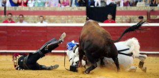 Caída de Diego Ventura el pasado domingo en Huelva. (FOTO: Pablo de la Corte/www.huelvataurina.com)