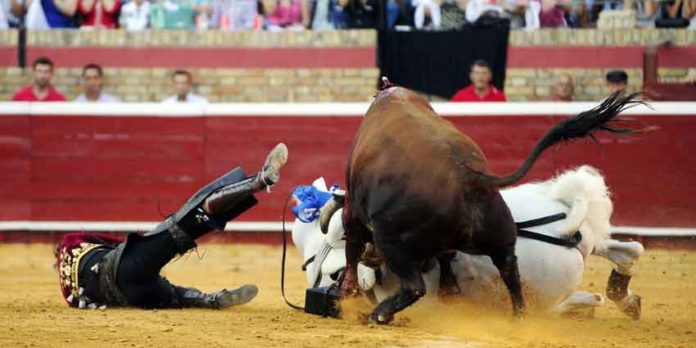 Caída de Diego Ventura el pasado domingo en Huelva. (FOTO: Pablo de la Corte/www.huelvataurina.com)