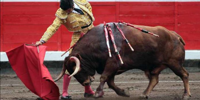 Morante esta tarde en Bilbao. (FOTO: Maurice Berho/mundotoro.com)