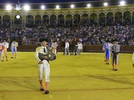 Excelente asistencia de público a las novilladas de promoción. (FOTO: lamaestranza.es)