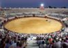 La plaza de toros de Utrera.