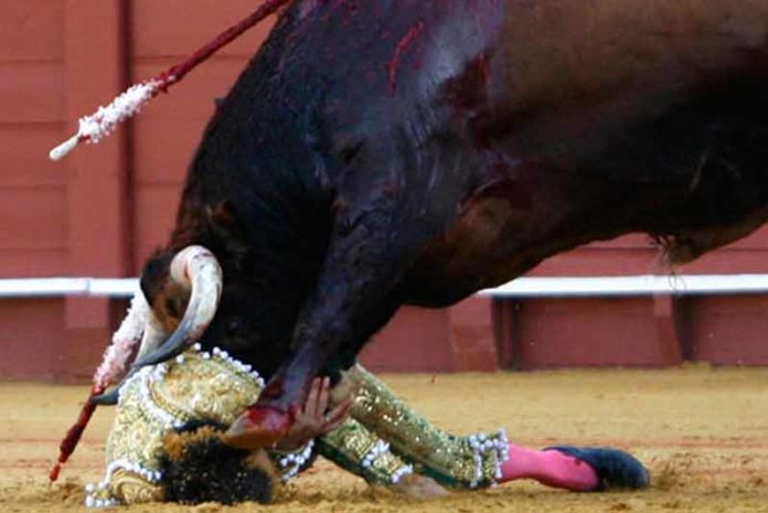 El Cid ha sufrido una espectacular voltereta en la Maestranza esta tarde, sin consecuencias. (FOTO: lopez-matito.com)