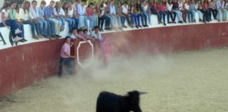 Primer acto masivo de la nueva plataforma 'Juventud Taurina de Sevilla'.