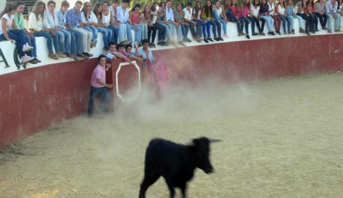 Primer acto masivo de la nueva plataforma 'Juventud Taurina de Sevilla'.