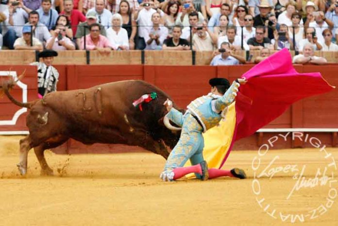 Manzanares, en una insólita imagen a portagayola por dos veces en la Maestranza. (FOTO: lopez-matito.com)