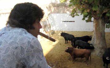 Fumando espero…