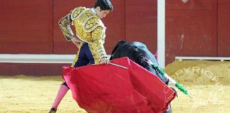 El novillero sevillano Daniel Araújo. (FOTO: lopez-matito.com)