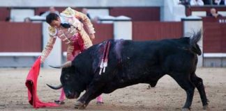 Derechazo de El Cid esta tarde en Madrid. (FOTO: las-ventas.com)