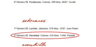 Captura de la web de la empresa Pagés del sorteo de la tercera de San Miguel; aún aparece el segundo sobrero con edad de novillo, tal y como se distribuyó a todos los medios.