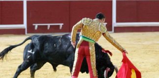 La naturalidad de Pepe Luis el día de su adiós en Utrera. (FOTO: lopez-matito.com)