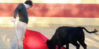 Un aficionado práctico en una de las clases en tentadero.