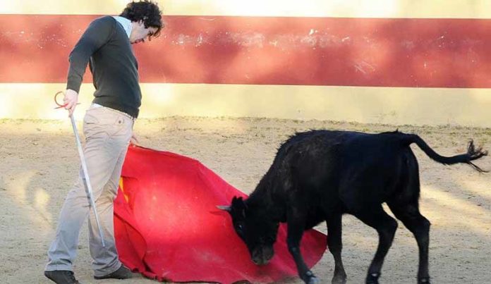 Un aficionado práctico en una de las clases en tentadero.