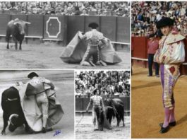 Algunas imágenes del toreo del maestro sevillano Diego Puerta.