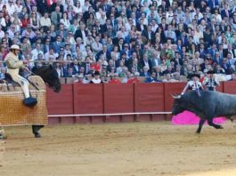 Suerte de varas en la Maestranza. (FOTO: lopez-matito.com)