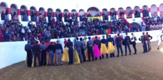 Homenaje a Murteira Grave en el meridiano del festival.