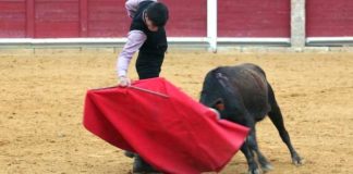 El sevillano Daniel Soto toreando en la final del Bolsín 'Tierras de Zamora', celebrado en Toro.