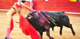 Estocada de El Cid esta tarde en Valencia. (FOTO: Alberto de Jesús/mundotoro.com)