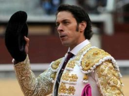 Antonio Nazaré, en la vuelta al ruedo esta tarde en Madrid. (FOTO: Julián López/mundotoro.com)