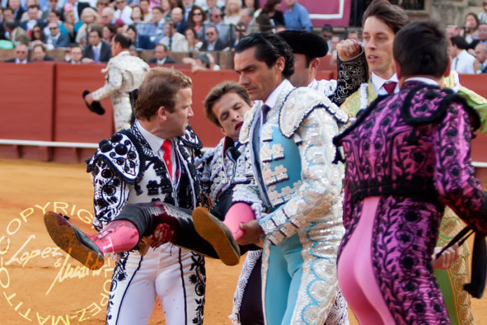 El Juli, desmayado, camino de la enfermería con el boquete de la cornada en su muslo derecho. (FOTO: lopezmatito.com)