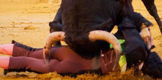 Instante de una de las dos cornadas del 'Niño de Leganés'. (FOTO: lopezmatito.com)