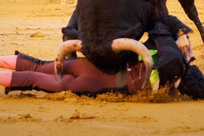 Instante de una de las dos cornadas del 'Niño de Leganés'. (FOTO: lopezmatito.com)