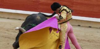 El diestro sevillano Oliva Soto.